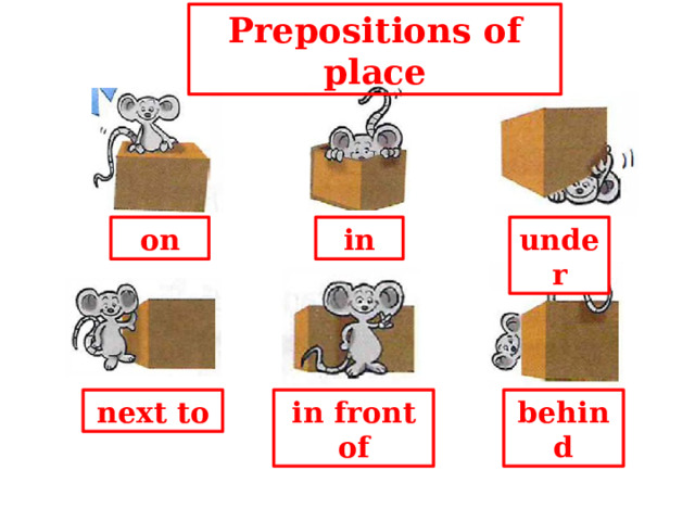Prepositions of place on in under in front of behind next to 