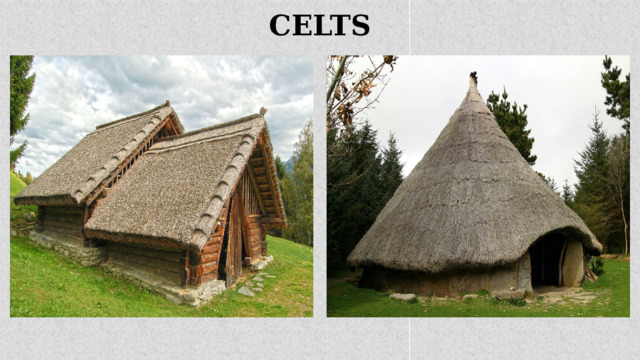 CELTS   