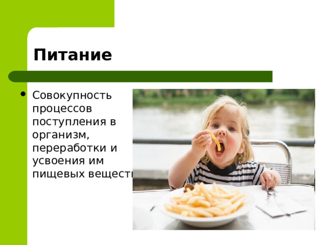 Питание Совокупность процессов поступления в организм, переработки и усвоения им пищевых веществ 