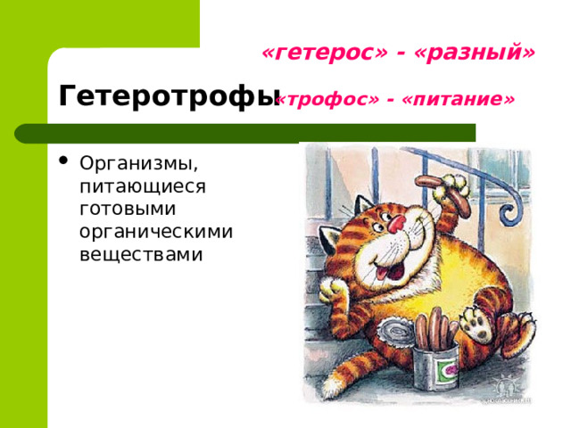 «гетерос» - «разный» Гетеротрофы «трофос» - «питание»  Организмы, питающиеся готовыми органическими веществами 