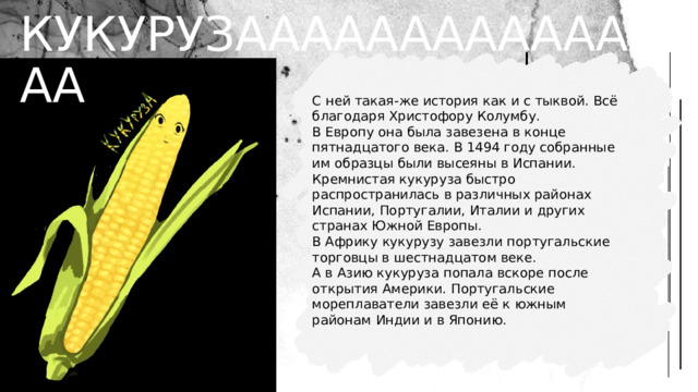 КУКУРУЗА - КУКУРУЗААААААААААААААА С ней такая-же история как и с тыквой. Всё благодаря Христофору Колумбу. В Европу она была завезена в конце пятнадцатого века. В 1494 году собранные им образцы были высеяны в Испании. Кремнистая кукуруза быстро распространилась в различных районах Испании, Португалии, Италии и других странах Южной Европы. В Африку кукурузу завезли португальские торговцы в шестнадцатом веке. А в Азию кукуруза попала вскоре после открытия Америки. Португальские мореплаватели завезли её к южным районам Индии и в Японию. 