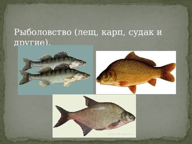 Рыболовство (лещ, карп, судак и другие). 