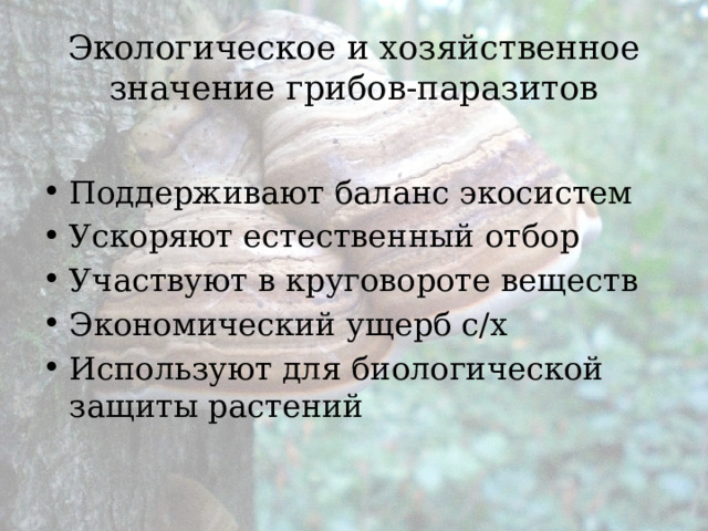 Экологическое и хозяйственное значение грибов-паразитов Поддерживают баланс экосистем Ускоряют естественный отбор Участвуют в круговороте веществ Экономический ущерб с/х Используют для биологической защиты растений 