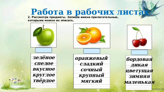   Работа в рабочих листах 2. Рассмотри предметы. Запиши имена прилагательные, которыми можно их описать. зелёное спелое вкусное круглое твёрдое оранжевый сладкий сочный крупный мягкий бордовая дикая цветущая зимняя маленькая 