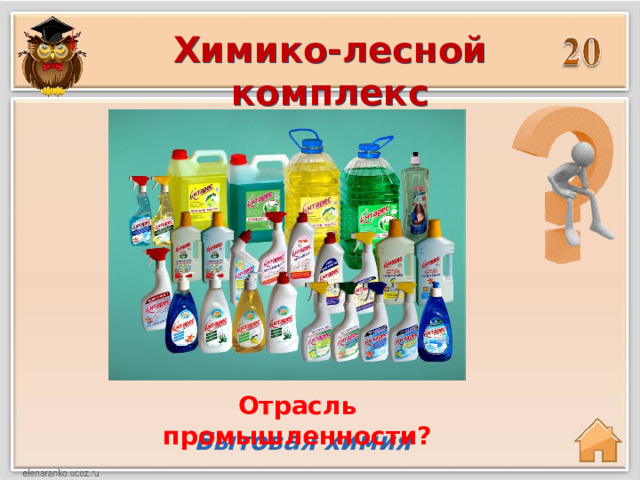 Химико-лесной комплекс Отрасль промышленности? Бытовая химия 