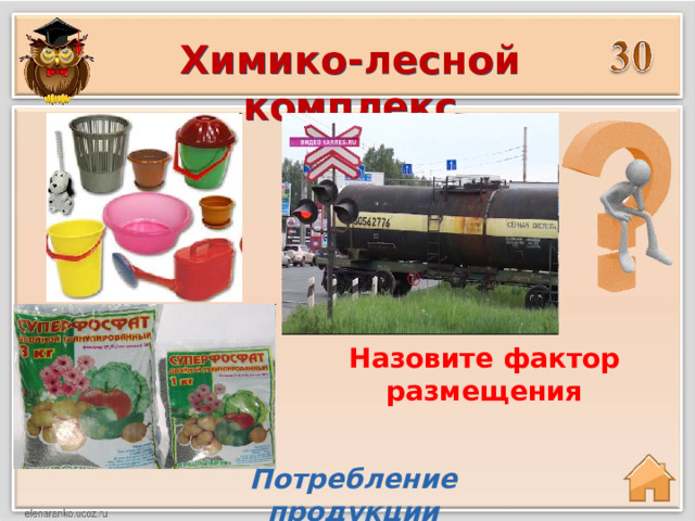 Химико-лесной комплекс Назовите фактор размещения Потребление продукции 