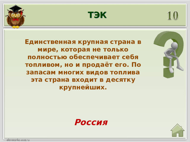 ТЭК Единственная крупная страна в мире, которая не только полностью обеспечивает себя топливом, но и продаёт его. По запасам многих видов топлива эта страна входит в десятку крупнейших.  Россия 