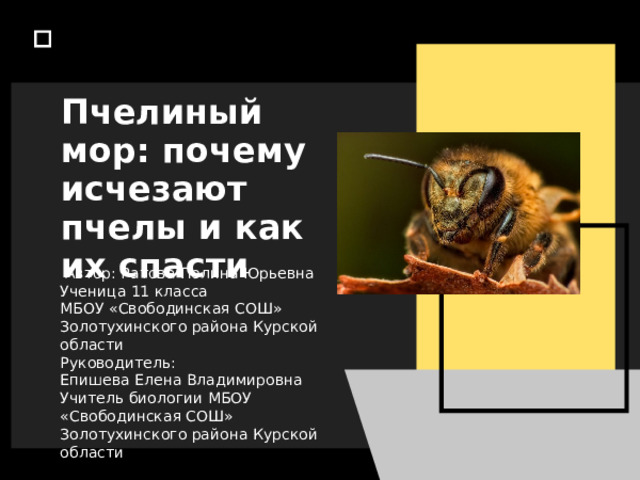 Пчелиный мор: почему исчезают пчелы и как их спасти  Автор: Ратова Полина Юрьевна Ученица 11 класса МБОУ «Свободинская СОШ» Золотухинского района Курской области Руководитель: Епишева Елена Владимировна Учитель биологии МБОУ «Свободинская СОШ» Золотухинского района Курской области    