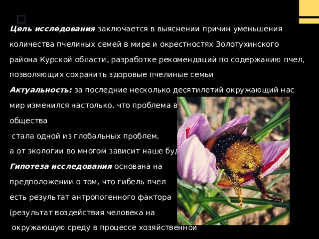 Цель исследования заключается в выяснении причин уменьшения количества пчелиных семей в мире и окрестностях Золотухинского района Курской области, разработке рекомендаций по содержанию пчел, позволяющих сохранить здоровые пчелиные семьи Актуальность: за последние несколько десятилетий окружающий нас мир изменился настолько, что проблема взаимоотношения природы и общества  стала одной из глобальных проблем, а от экологии во многом зависит наше будущее Гипотеза исследования основана на предположении о том, что гибель пчел есть результат антропогенного фактора (результат воздействия человека на  окружающую среду в процессе хозяйственной  и другой деятельности).      