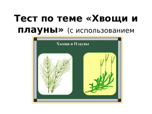 Тест по теме «Хвощи и плауны» (с использованием ЦОС ).  