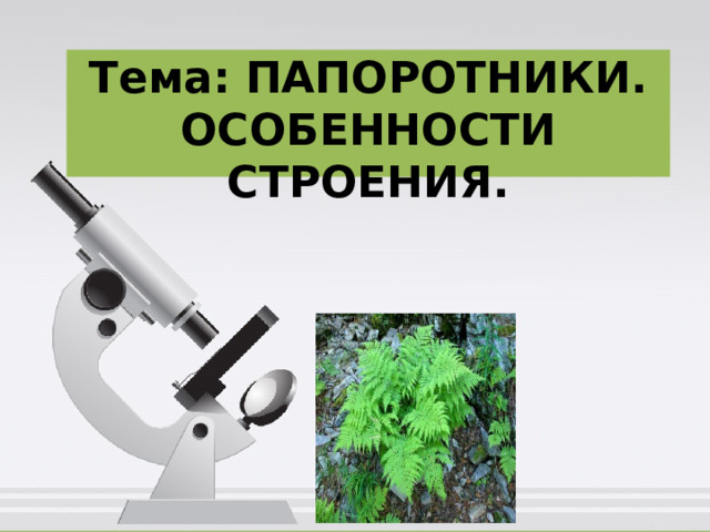  Тема: ПАПОРОТНИКИ.  ОСОБЕННОСТИ СТРОЕНИЯ. 