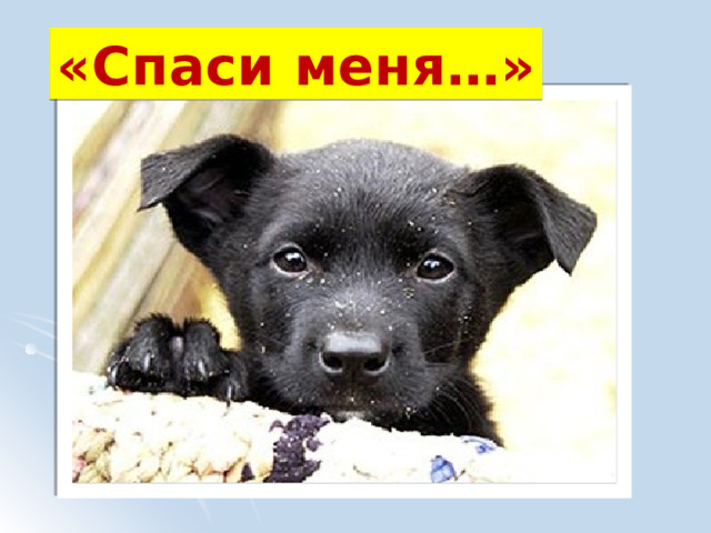 «Спаси меня…» 