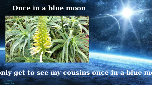 Once in a blue moon I only get to see my cousins once in a blue moon. 