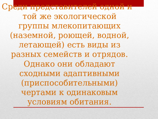 Среди представителей одной и той же экологической группы млекопитающих (наземной, роющей, водной, летающей) есть виды из разных семейств и отрядов. Однако они обладают сходными адаптивными (приспособительными) чертами к одинаковым условиям обитания. 