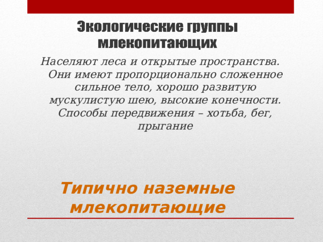 Населяют леса и открытые пространства. Они имеют пропорционально сложенное сильное тело, хорошо развитую мускулистую шею, высокие конечности. Способы передвижения – хотьба, бег, прыгание Типично наземные млекопитающие 