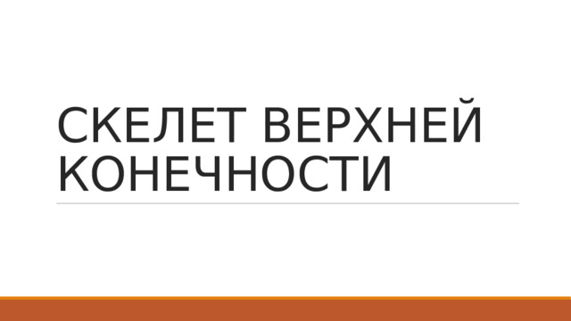 СКЕЛЕТ ВЕРХНЕЙ КОНЕЧНОСТИ 