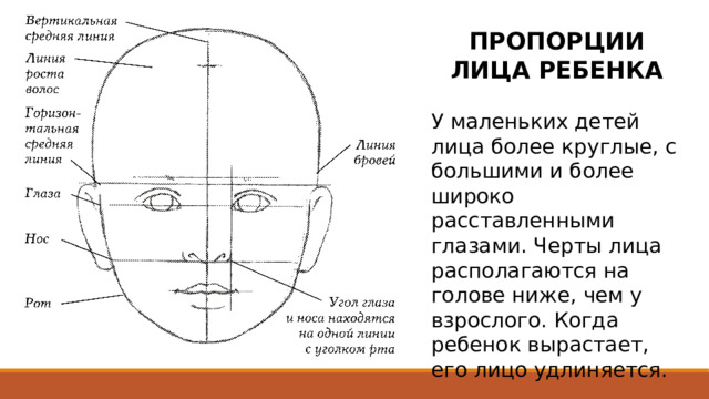 ПРОПОРЦИИ ЛИЦА РЕБЕНКА У маленьких детей лица более круглые, с большими и более широко расставленными глазами. Черты лица располагаются на голове ниже, чем у взрослого. Когда ребенок вырастает, его лицо удлиняется. 