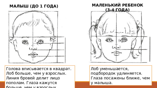МАЛЕНЬКИЙ РЕБЕНОК (3-4 ГОДА) МАЛЫШ (ДО 1 ГОДА) Голова вписывается в квадрат. Лоб больше, чем у взрослых. Линия бровей делит лицо пополам. Глаза кажутся больше, чем у взрослых. Лоб уменьшается, подбородок удлиняется. Глаза посажены ближе, чем у малыша. 
