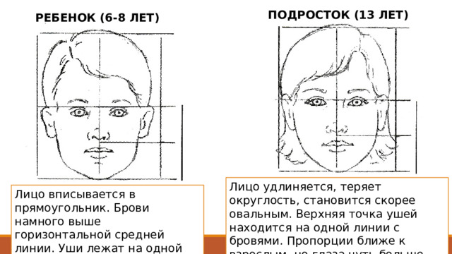 ПОДРОСТОК (13 ЛЕТ) РЕБЕНОК (6-8 ЛЕТ) Лицо удлиняется, теряет округлость, становится скорее овальным. Верхняя точка ушей находится на одной линии с бровями. Пропорции ближе к взрослым, но глаза чуть больше, лицо более округлое и полное. Лицо вписывается в прямоугольник. Брови намного выше горизонтальной средней линии. Уши лежат на одной линии с основанием носа. 