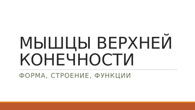 МЫШЦЫ ВЕРХНЕЙ КОНЕЧНОСТИ ФОРМА, СТРОЕНИЕ, ФУНКЦИИ 