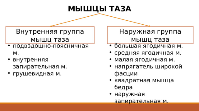 МЫШЦЫ ТАЗА Внутренняя группа мышц таза Наружная группа мышц таза подвздошно-поясничная м. внутренняя запирательная м. грушевидная м. большая ягодичная м. средняя ягодичная м. малая ягодичная м. напрягатель широкой фасции квадратная мышца бедра наружная запирательная м. 