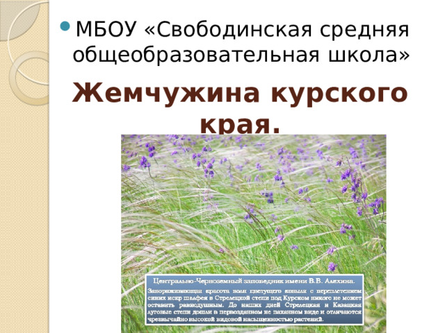 МБОУ «Свободинская средняя общеобразовательная школа» Жемчужина курского края. 
