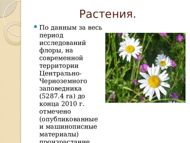 Растения. По данным за весь период исследований флоры, на современной территории Центрально-Черноземного заповедника (5287.4 га) до конца 2010 г. отмечено (опубликованные и машинописные материалы) произрастание 1287 видов растений. 