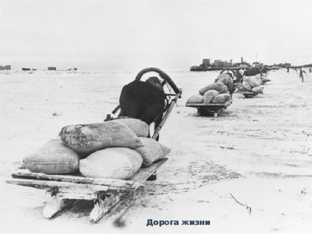  Дорога жизни 