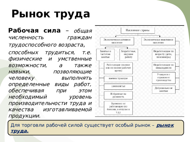 Рынок труда Рабочая сила – общая численность граждан трудоспособного возраста , способных трудиться, т.е. физические и умственные возможности, а также навыки, позволяющие человеку выполнять определенные виды работ, обеспечивая при этом необходимый уровень производительности труда и качества изготавливаемой продукции. Для торговли рабочей силой существует особый рынок – рынок труда. 