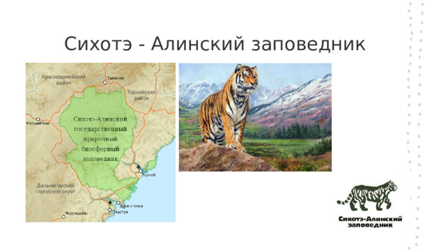 Сихотэ - Алинский заповедник 