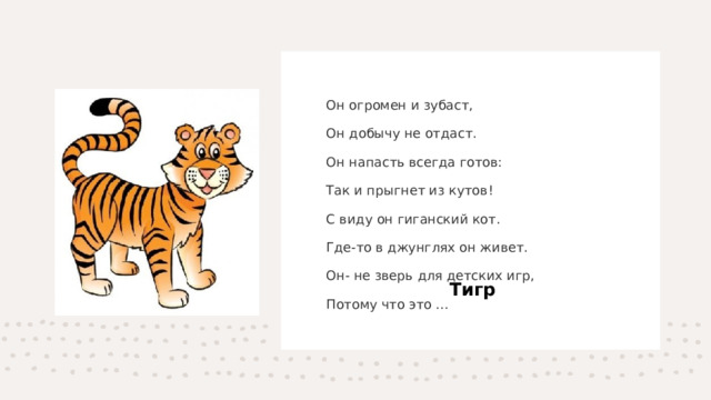 Он огромен и зубаст,  Он добычу не отдаст.  Он напасть всегда готов:  Так и прыгнет из кутов!  С виду он гиганский кот.  Где-то в джунглях он живет.  Он- не зверь для детских игр, Потому что это ... Тигр 