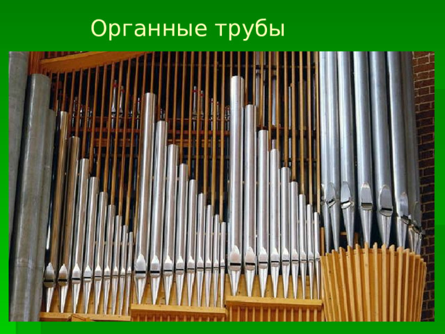 Органные трубы   