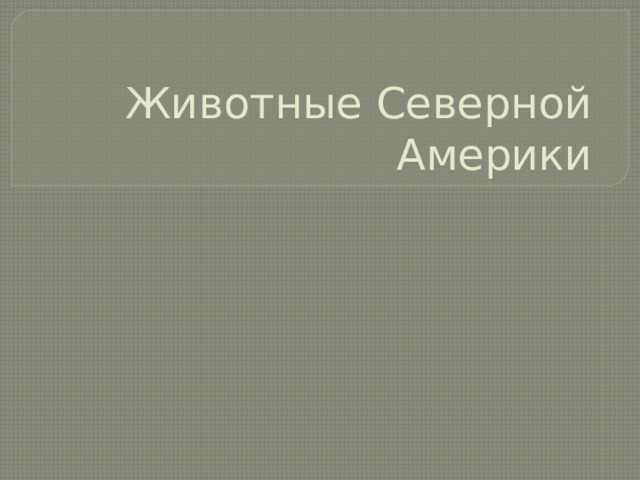 Животные Северной Америки 