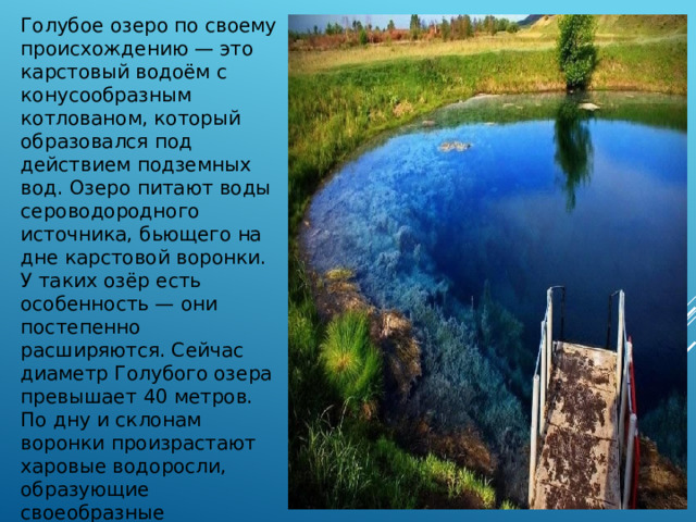 Голубое озеро по своему происхождению — это карстовый водоём с конусообразным котлованом, который образовался под действием подземных вод. Озеро питают воды сероводородного источника, бьющего на дне карстовой воронки. У таких озёр есть особенность — они постепенно расширяются. Сейчас диаметр Голубого озера превышает 40 метров. По дну и склонам воронки произрастают харовые водоросли, образующие своеобразные подводные луга.  