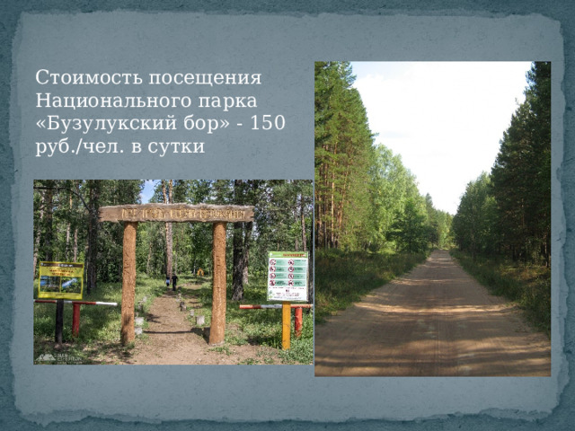 Стоимость посещения Национального парка «Бузулукский бор» - 150 руб./чел. в сутки 