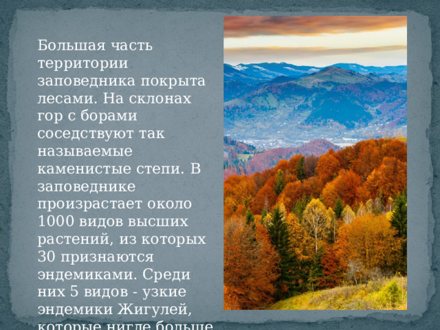 Большая часть территории заповедника покрыта лесами. На склонах гор с борами соседствуют так называемые каменистые степи. В заповеднике произрастает около 1000 видов высших растений, из которых 30 признаются эндемиками. Среди них 5 видов - узкие эндемики Жигулей, которые нигде больше в мире не встречаются.  