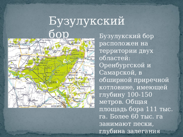 Бузулукский бор Бузулукский бор расположен на территории двух областей: Оренбургской и Самарской, в обширной приречной котловине, имеющей глубину 100-150 метров. Общая площадь бора 111 тыс. га. Более 60 тыс. га занимают пески, глубина залегания которых местами достигает 90 метров.  