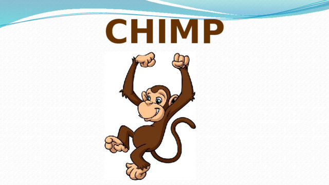 CHIMP 