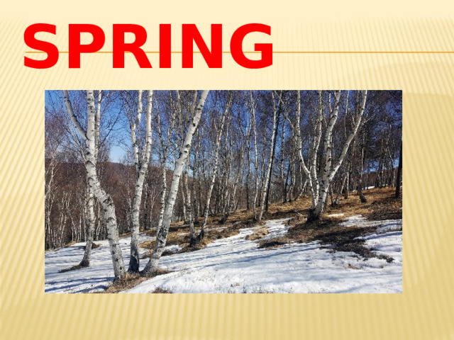 SPRING 