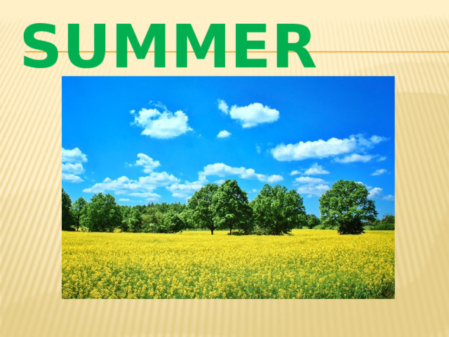 SUMMER 