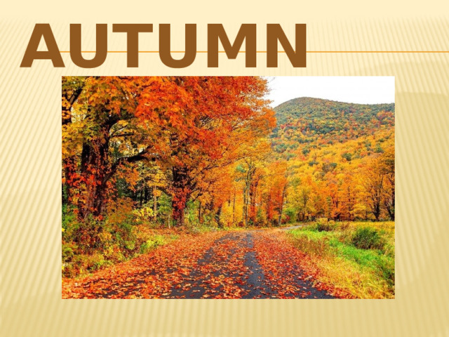 AUTUMN 