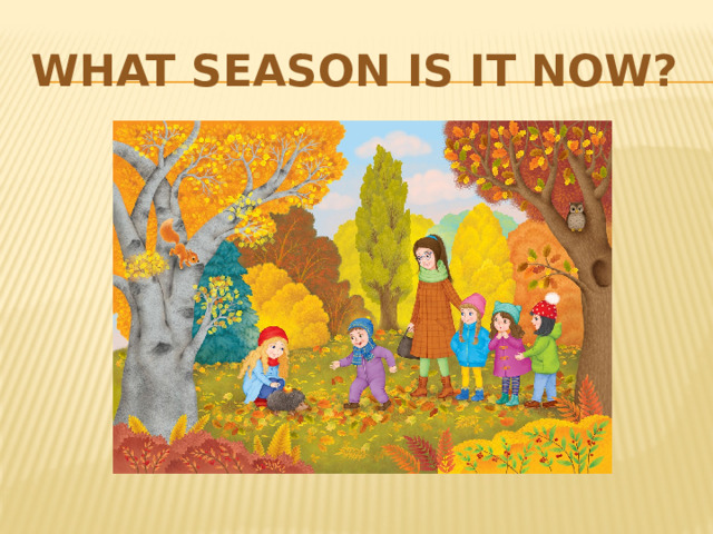 What season is it now? 