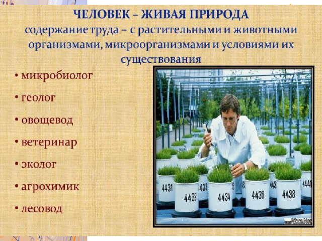      Сайт: http://pedsovet.su/  