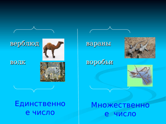 Имя существительное  Предмет  (кто?) (что?) одушевленные неодушевленные собственные нарицательные единственное число  множественное число 