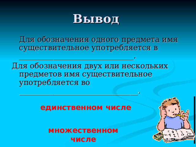Изменение  имён существительных по числам 