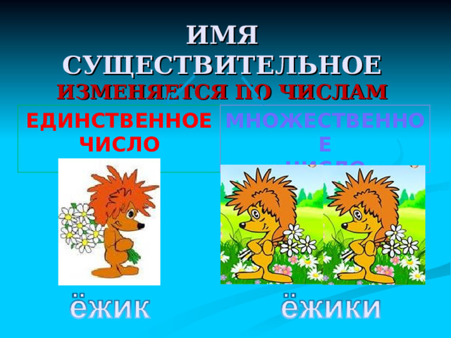 верблюд волк вараны воробьи Единственное число Множественное число 