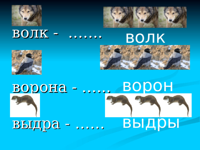 Вывод  Для обозначения одного предмета имя существительное употребляется в ______________________________. Для обозначения двух или нескольких предметов имя существительное употребляется во _______________________________. единственном числе множественном числе 