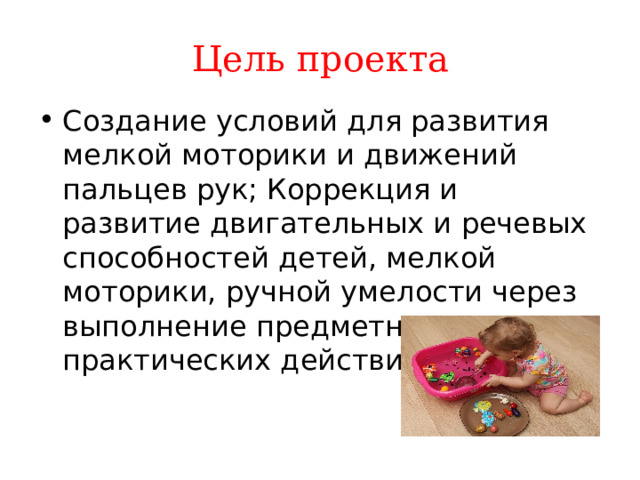 Цель проекта Создание условий для развития мелкой моторики и движений пальцев рук; Коррекция и развитие двигательных и речевых способностей детей, мелкой моторики, ручной умелости через выполнение предметно-практических действий. 