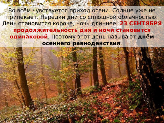 Во всём чувствуется приход осени. Солнце уже не припекает. Нередки дни со сплошной облачностью. День становится короче, ночь длиннее. 23 СЕНТЯБРЯ продолжительность дня и ночи становится одинаковой . Поэтому этот день называют днём осеннего равноденствия . 
