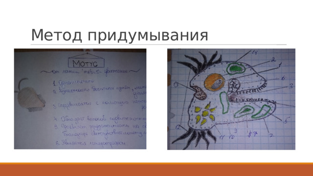 Метод придумывания Создайте одноклеточного, который занимает все среды жизни  